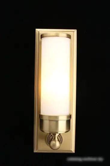 Бра Aployt Rin APL.804.01.01