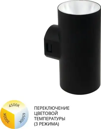 Фасадный светильник Arte Lamp Alcyone A6109AL-2BK – изображение в каталоге