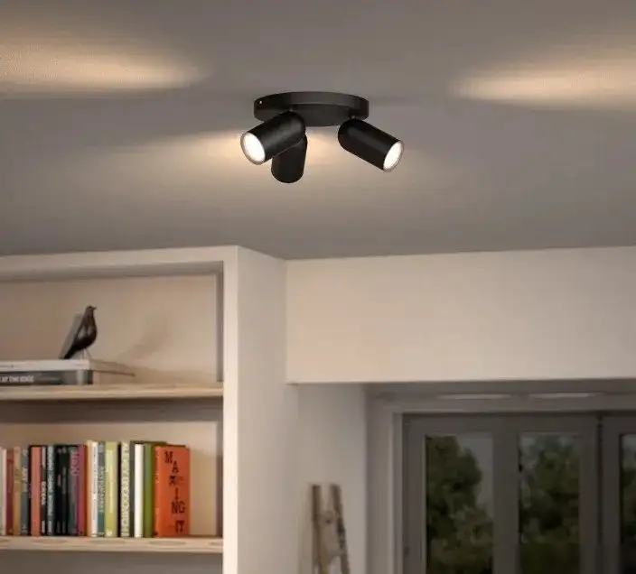 Припотолочная люстра Philips Pongee Plate/Spiral Black 3xNW 230V 915005531301 – фото товара