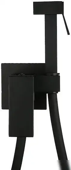 Гигиенический душ Roxen Caspia 50096000-B - фото товара