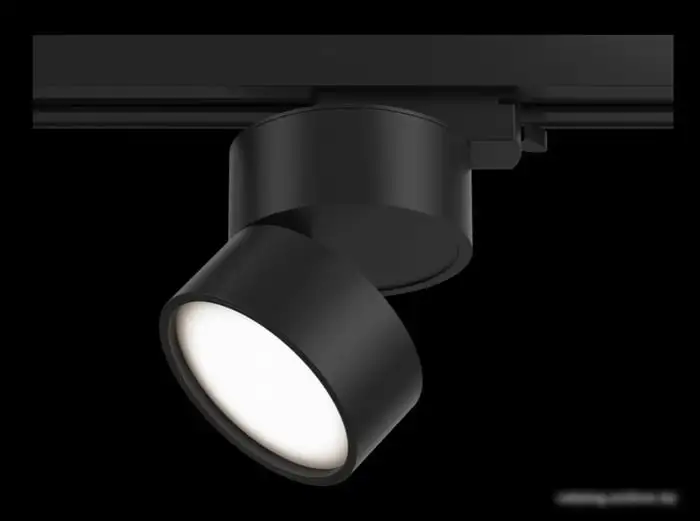 Трековый светильник Maytoni TR007-1-12W4K-B – фото товара
