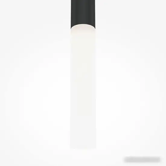 Подвесная люстра Maytoni Pro Shade MOD157PL-L6BK – фото товара