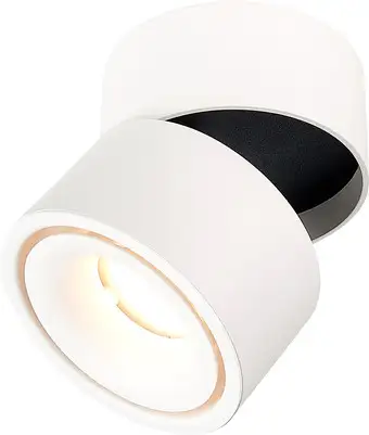 Припотолочная люстра ST Luce ST652 ST652.542.12 – изображение в каталоге