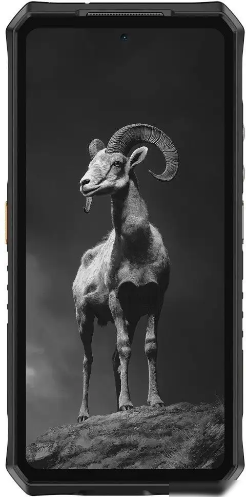 Телефон Ulefone Armor 28 Pro 16GB/512GB (черный) – фото товара