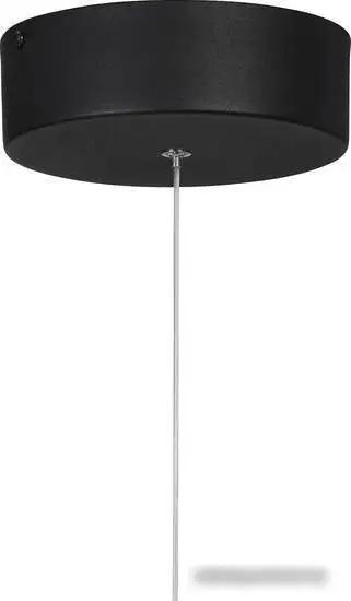 Подвесная люстра Vitaluce V4672 V4672-1/1S – фото товара