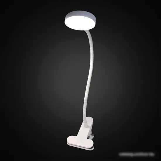 Настольная лампа Citilux Ньютон CL803070N – фото товара