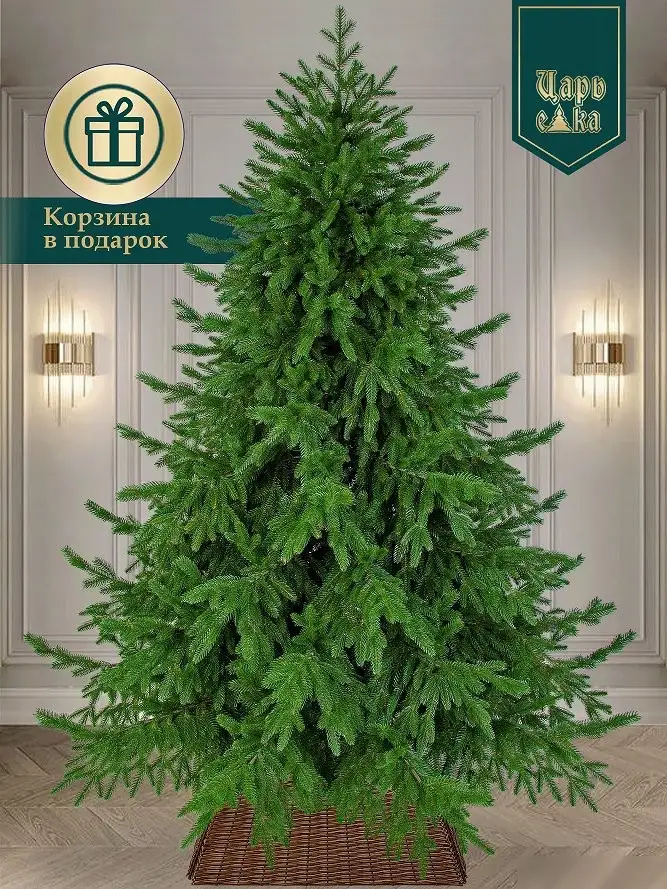Ель Царь Елка Раскидистая премиум РДП-180 – фото товара