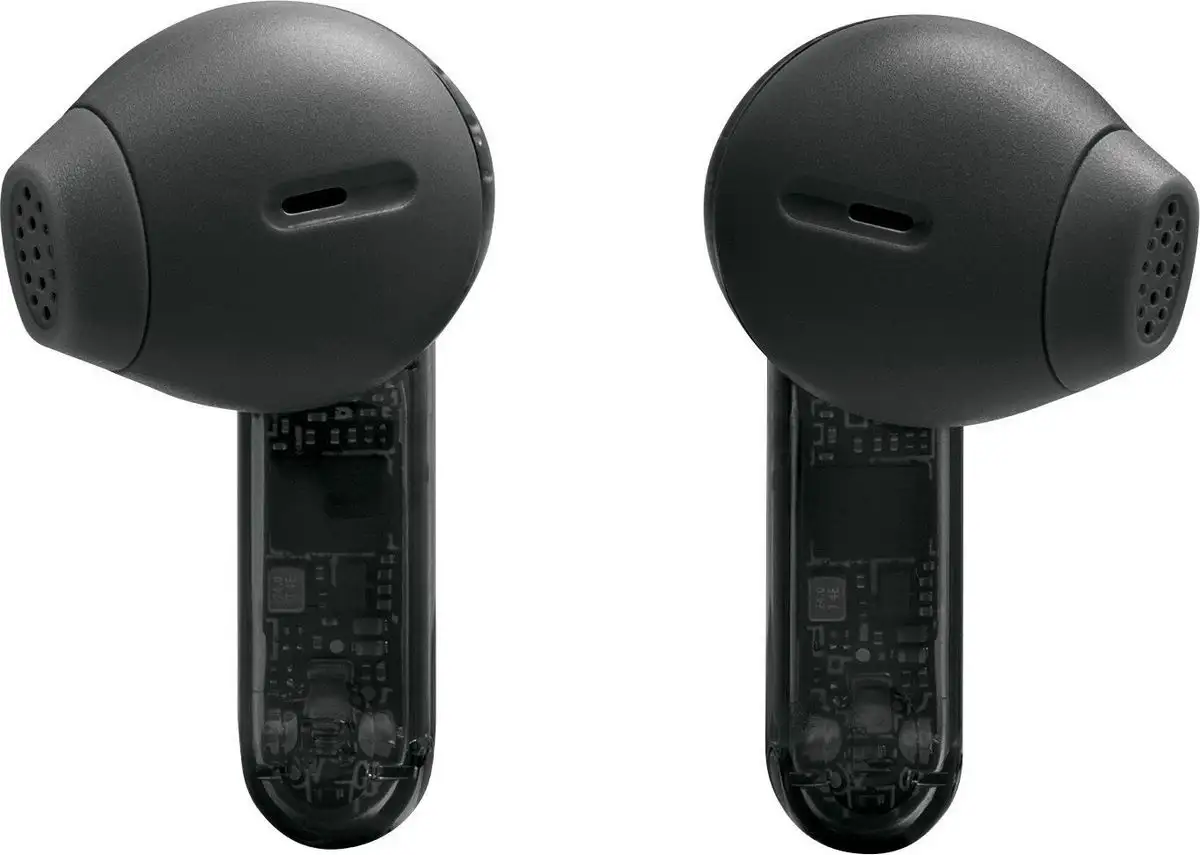 Наушники JBL Tune Flex 2 Ghost (черный) – фото товара