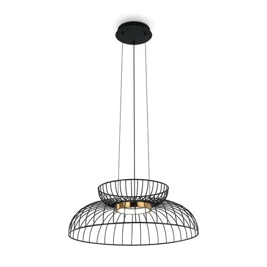 Припотолочная люстра Freya Citrus FR5398PL-L6B – фото товара