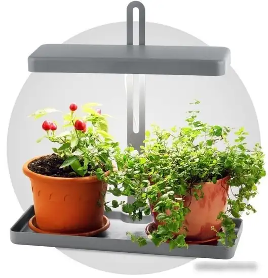 Лампа ЭРА FITO-20W-QLED-W – фото товара