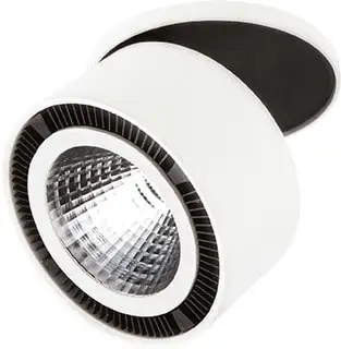 Точечный светильник Lightstar Forte inca 213806 – изображение в каталоге