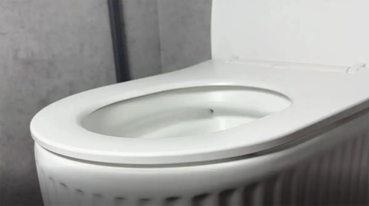 Унитаз подвесной Roxen Royal Matt Rimless Soft Close NC 530200-01 - фото товара