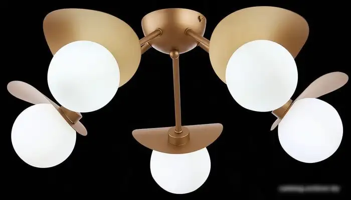 Припотолочная люстра Evoluce Bolzano SLE220502-05