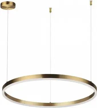 Припотолочная люстра Lumion Echo Ledio 6531/50L – изображение в каталоге