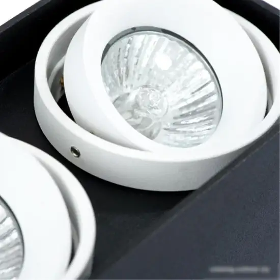 Точечный светильник Arte Lamp Pictor A5655PL-2BK – фото товара