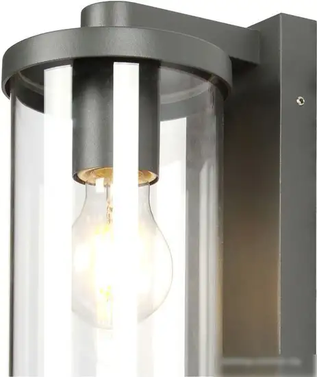 Уличный настенный светильник Favourite Lukturis 3038-1W – фото товара