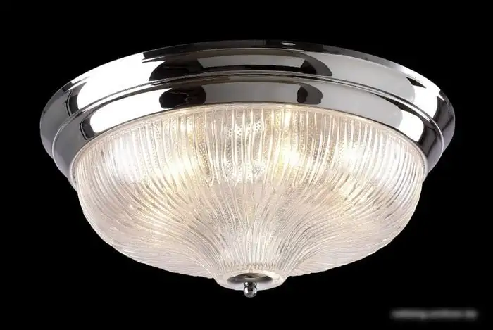 Припотолочная люстра Crystal Lux Lluvia PL5 Chrome D460 – фото товара