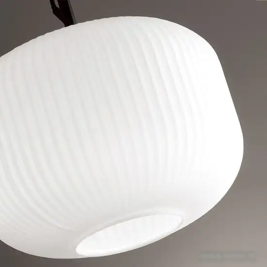 Подвесная люстра Odeon Light Roofi 4753/1 – фото товара