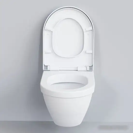 Унитаз Ambassador Nord 133T20101 (белый матовый, с толстым сиденьем) - фото товара