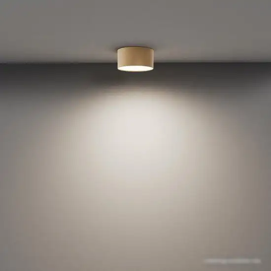 Точечный светильник Maytoni Zon C032CL-12W4K-RD-MG – фото товара