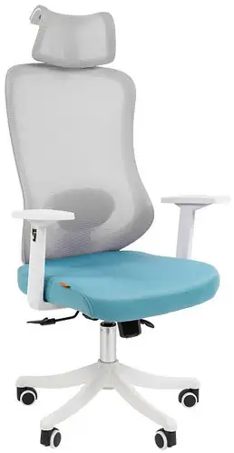 Кресло CHAIRMAN CH563 (ткань/сетка, белый/бирюзовый) – изображение в каталоге