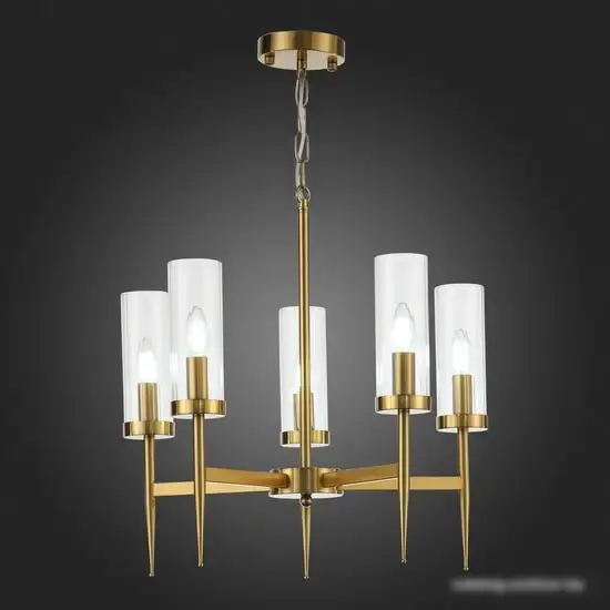 Подвесная люстра ST Luce Acazio SL1159.303.05 – фото товара