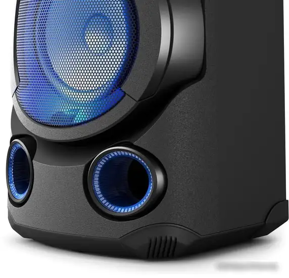 Колонка для вечеринок Sony MHC-V13 – фото товара