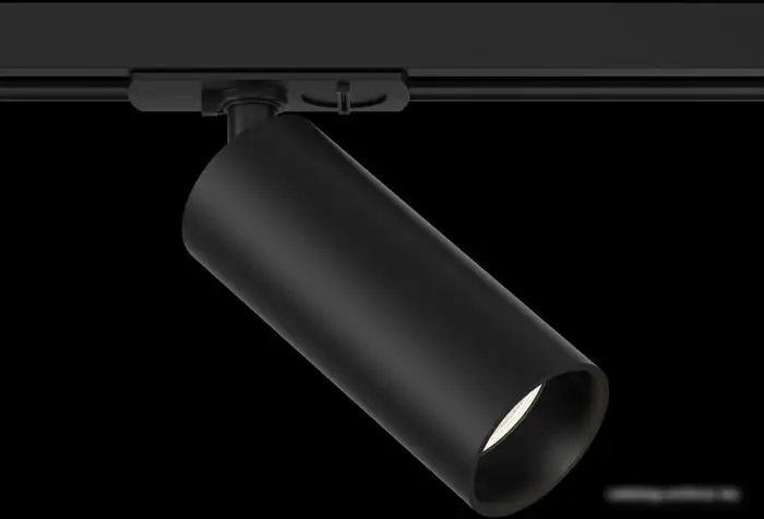 Трековый светильник Maytoni TR021-1-12B3K – фото товара