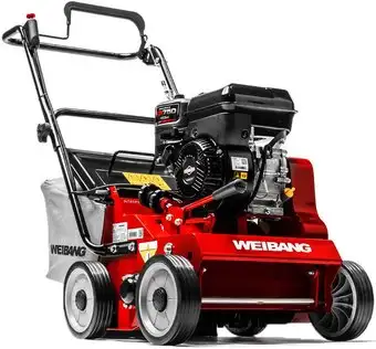 Скарификатор Weibang WB 384RB – изображение в каталоге