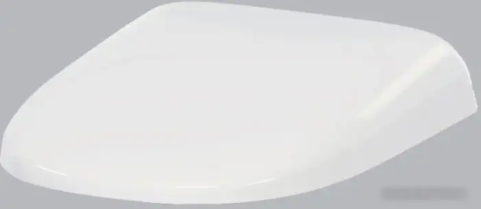 Сиденье для унитаза AM.PM Sensation C307851WH – фото товара
