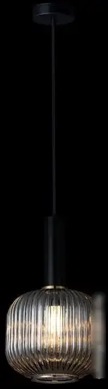 Подвесная люстра LOFT IT IRIS 2070-B+BL – фото товара