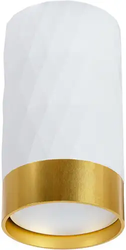 Точечный светильник Arte Lamp Fang A5558PL-1WH – изображение в каталоге