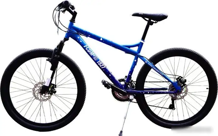 Велосипед Polar FC Dinamo Minsk 2024 – фото товара