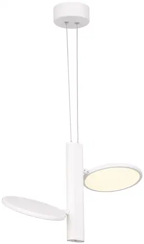 Подвесная люстра Lussole Aberdeen LSP-7085 – изображение в каталоге