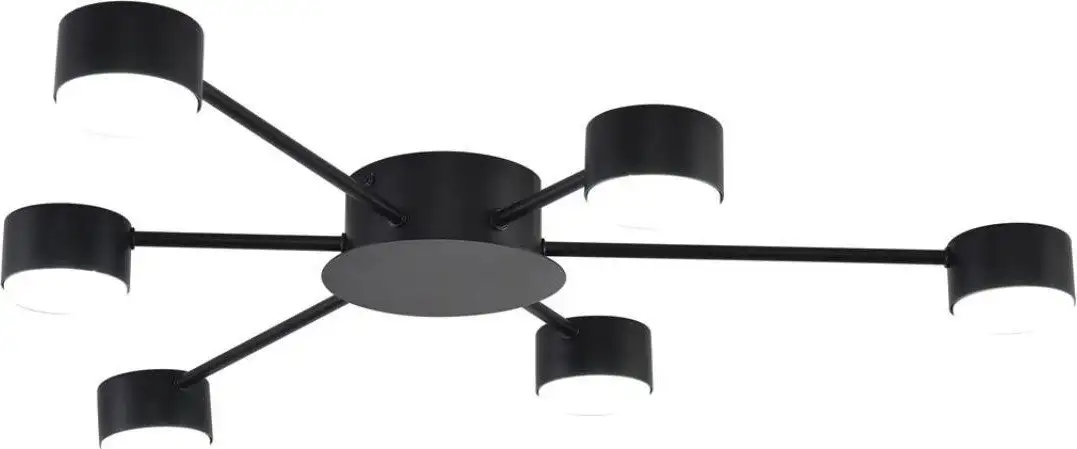 Припотолочная люстра Lumion Torina 8344/6C – фото товара