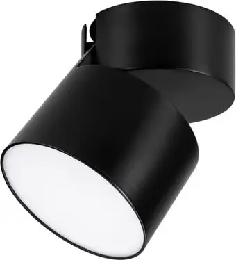 Спот Arlight SP-RONDO-FLAP-R110-25W Day4000 028159 – изображение в каталоге