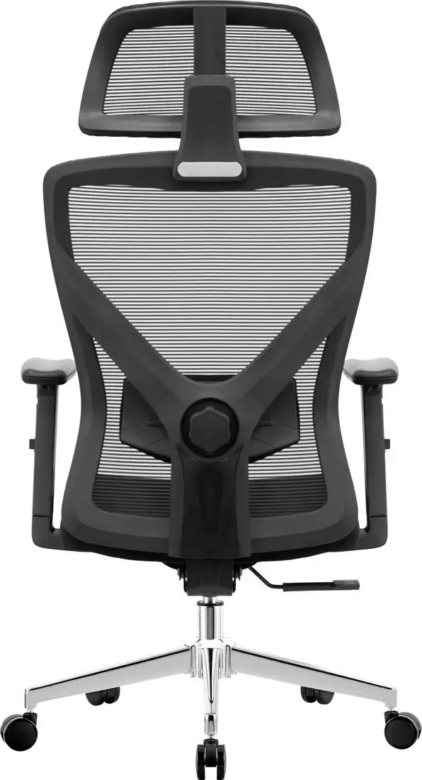 Офисное кресло Evolution ErgoLine 2 (черный) – фото товара