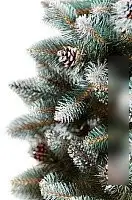 Ель Maxy Poland Полярная ночь (2.2м)