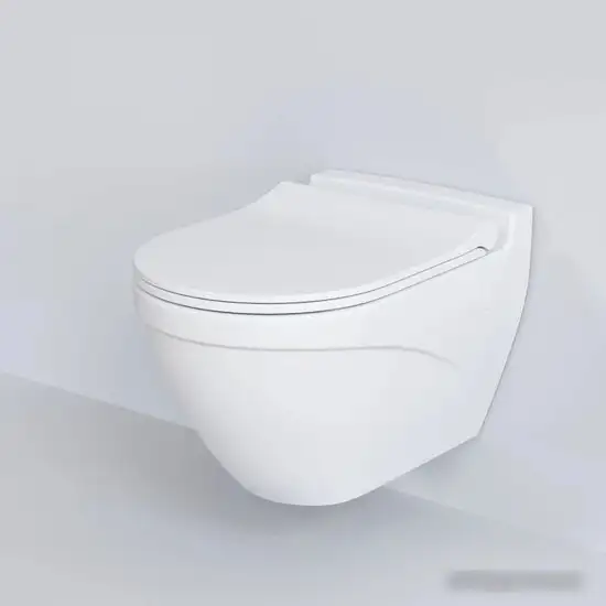 Сиденье для унитаза Ambassador Nord 132T20101S (белый матовый) – фото товара