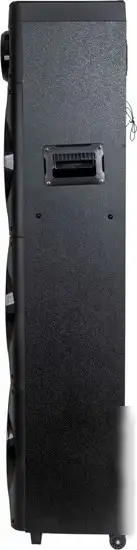 Колонка для вечеринок Aiwa CAS-1031 – фото товара