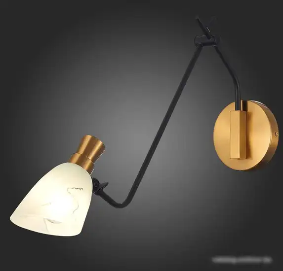 Бра Evoluce SLE205401-01 – фото товара