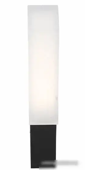 Уличный фонарь ST Luce Posto SL096.411.02