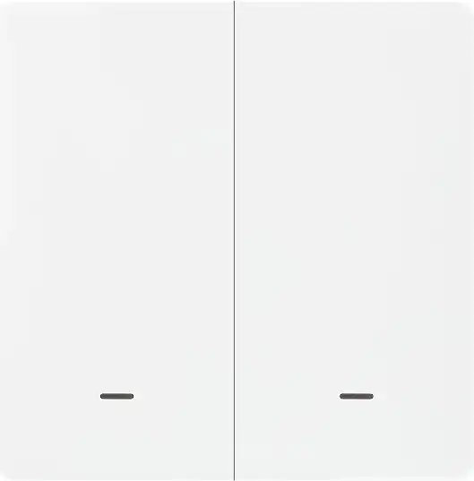 Выключатель Hommyn zigbee 2 клавиши SWZBNN02W (без нейтрали) – фото товара
