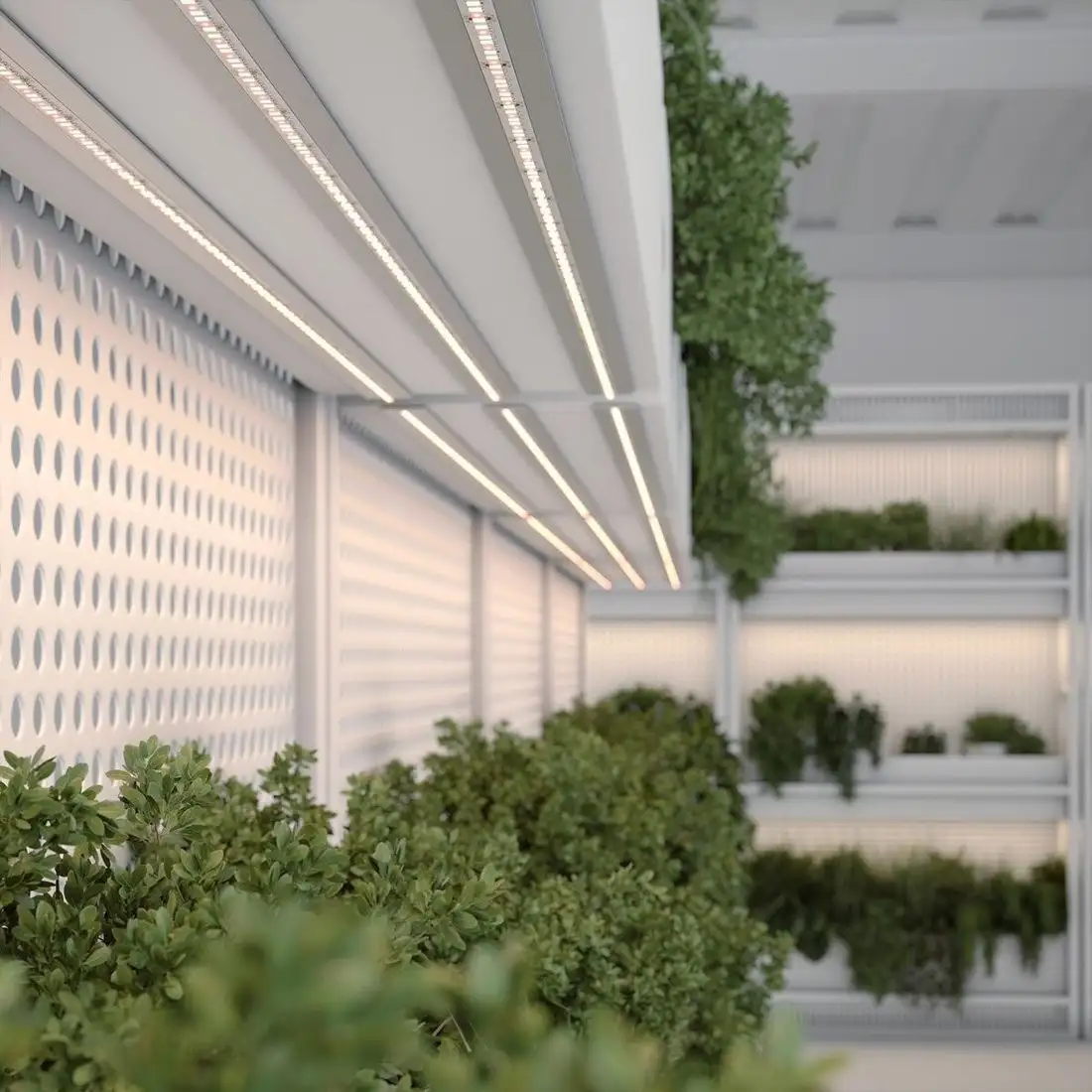 Светодиодная лента Arlight 14W/m 144LED/m 2835SMD дневной белый/красный 5M FITOLUX-SE-A144-10mm 24V Day5000-Red 038171 – фото товара