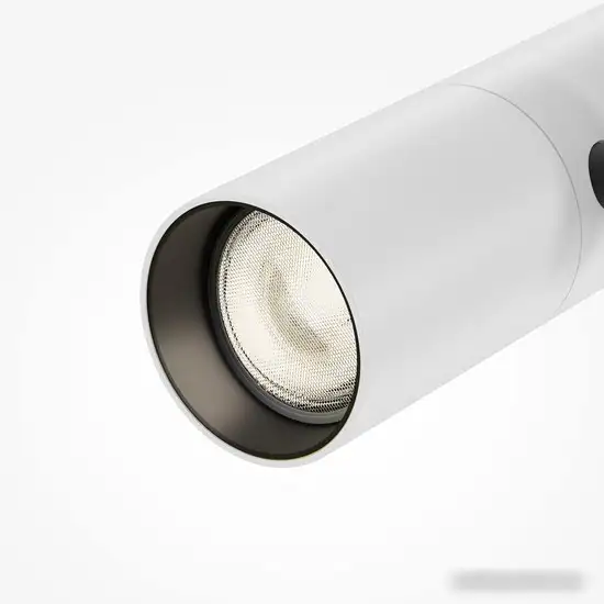 Трековый светильник Maytoni Elti Duo TR005-2-2X12W4K-BW – фото товара