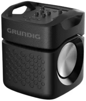 Беспроводная колонка Grundig PartyHit Max – изображение в каталоге