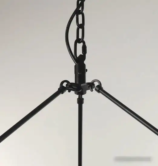 Подвесная люстра Citilux Смитсон CL470230 – фото товара