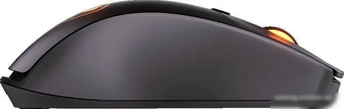 Игровая мышь Cougar Surpassion RX (черный) – фото товара