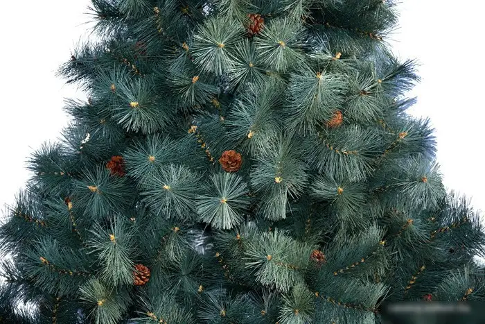 Сосна Merry Bear Келли 2.1 м пушистая – фото товара