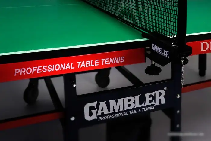 Теннисный стол Gambler Dragon GTS-8 (зеленый) – фото товара